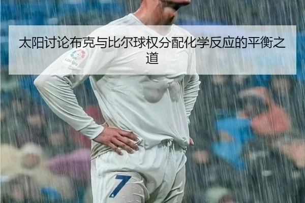 太阳讨论布克与比尔球权分配化学反应的平衡之道